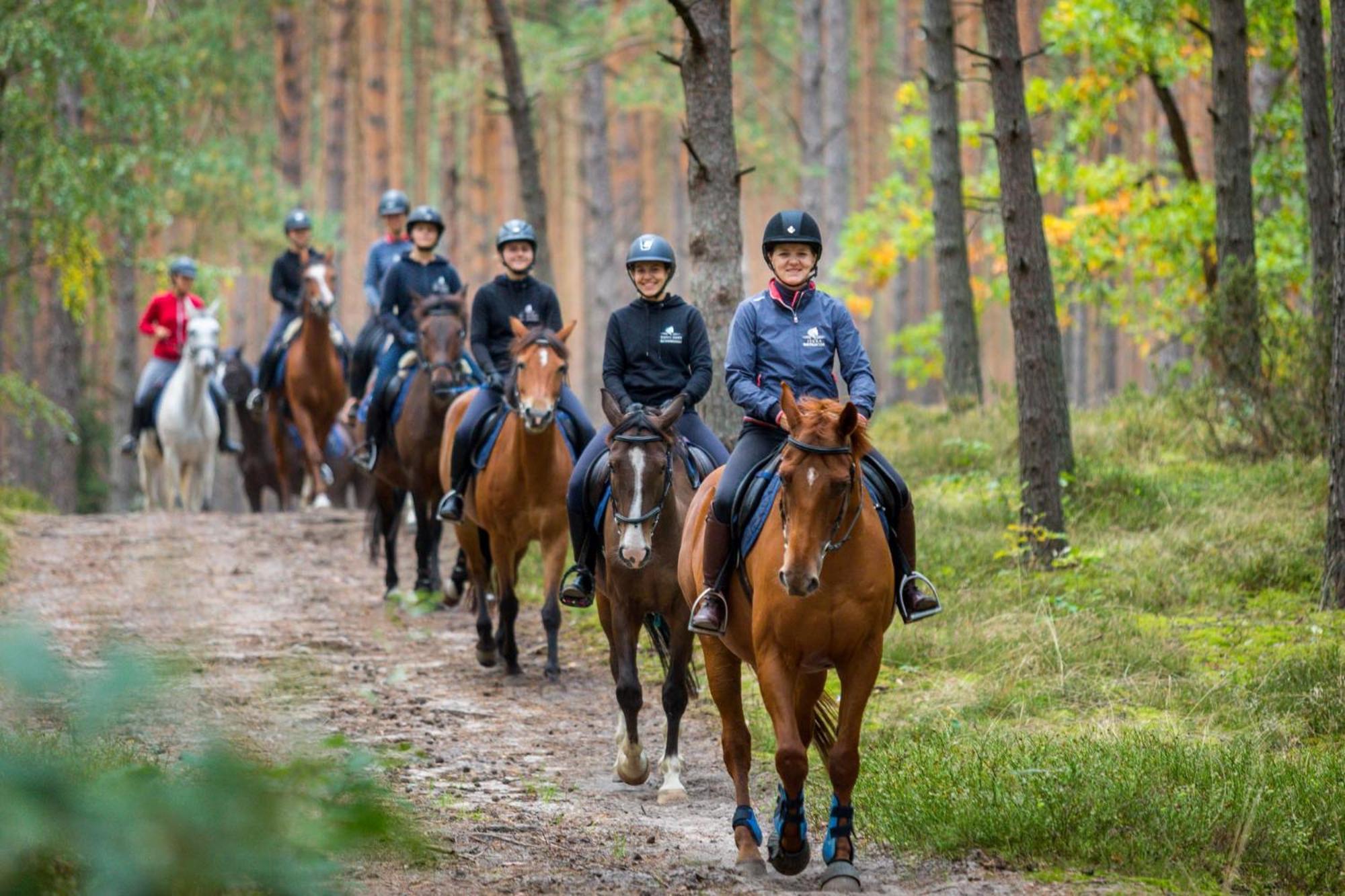 Pensjonat Iskra Sztum Esterno foto